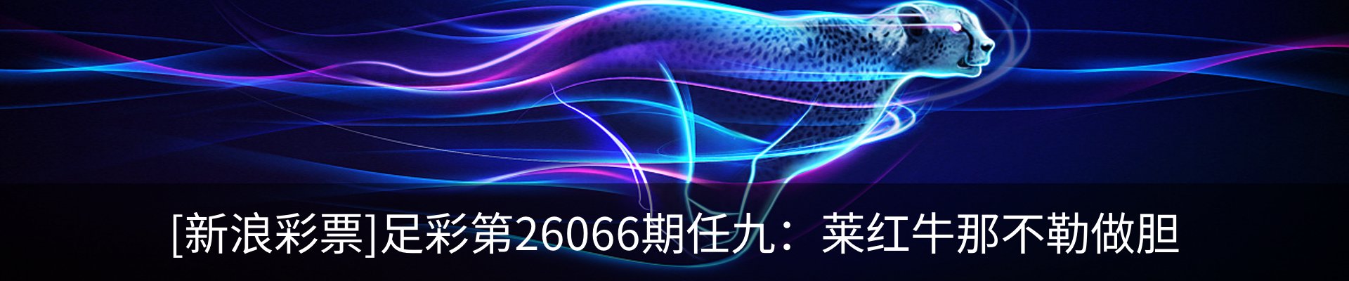 资讯动态